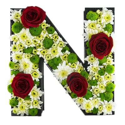 جعبه گل حرف N