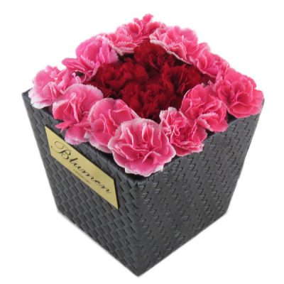 جعبه گل آیسان