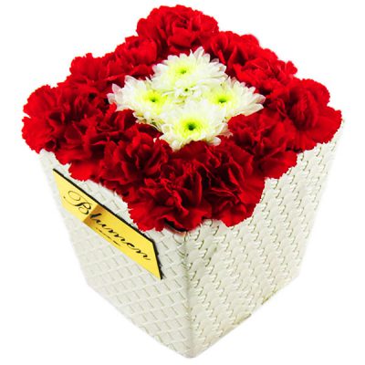 جعبه گل آریسا