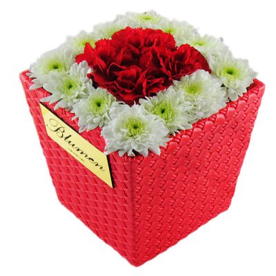 جعبه گل آریسان